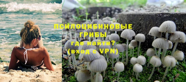 apvp Лагань