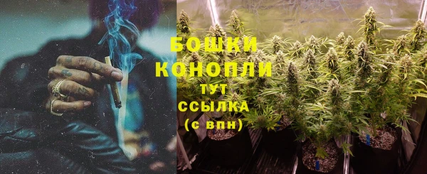 ГАЛЛЮЦИНОГЕННЫЕ ГРИБЫ Лабытнанги