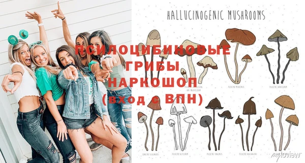 apvp Лагань