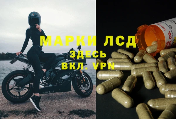 ГАЛЛЮЦИНОГЕННЫЕ ГРИБЫ Лабытнанги