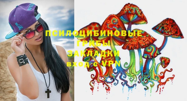 спиды Липки